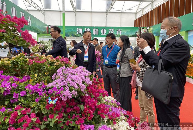 首届广西花卉苗木交易会开幕 参展花卉苗木品种达1000多个